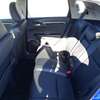 BLUE HYBRID HONDA FIT (MKOPO/HIRE PURCHASE ACCEPTED) thumb 8