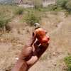 50*100 plots in Mombasa Dongo Kundu thumb 5