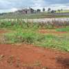 0.5 ac residential land for sale in Runda thumb 9