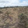 10 ac land for sale in Ongata Rongai thumb 0