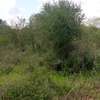 100 Acres For Sale Along Kibwezi-Kitui Road On The Plateau thumb 2