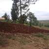 40X80ft PLOTS FOR SALE AT KABATI ZABKA IN MURANGA COUNTY thumb 1