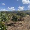 5 Acres  for Sale in Subukia thumb 6