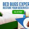 Bed Bug Removal Githunguri/Ruiru/Juja/Thika/Thogoto/Kikuyu thumb 4