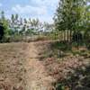 Prime 0.4 Acre land with 2 br house for Sale thumb 8