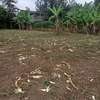 40*80ft plots for sale at Makuyu near Makuyu Teachers c thumb 0