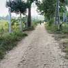 15 ac Land at Bomani thumb 3