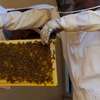 Hire a Beekeeping Service for Project - Call us today thumb 2