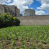 PRIME HALF ACRE LAND FOR SALE IN RUIRU KAMAKIS thumb 1
