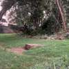 0.65 ac Residential Land at Mbaazi Avenue thumb 0