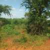1500 Acres Available For Sale in Kitui Mutha Region thumb 2