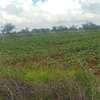 2 Acres Available For Sale in Makindu town, Masalani Area thumb 3