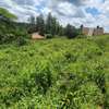 0.2 ha Commercial Land at Merisho Road thumb 8
