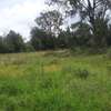 Lovely One Acre in Karen thumb 7