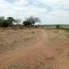 80,000 Acres Touching Galana River in Kilifi Is For Sale thumb 2