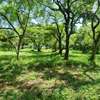 2.5 ac Land at Serena thumb 26