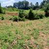 Prime 3 Acre Land For Sale in Shihome,Malava , Kakamega thumb 6