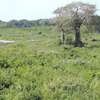 1,012 m² Residential Land at Diani Beach Road thumb 23