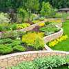 Landscaping & gardening services in Nairobi Kenya thumb 13
