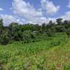 1/4 and Full Acre Plots for sale in Malindi thumb 3