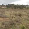 1 ac Residential Land in Ngong thumb 2