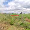 0.125 ac Residential Land at Migumoini thumb 2