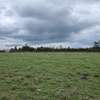 Prime 50x100 land for sale- Isinya thumb 3
