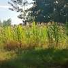 Kithimu 1½ Acres thumb 4