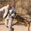 List of Dog Training Services in Nairobi thumb 0