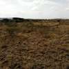 20 ac Land at Namanga Rd thumb 6