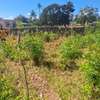 Mtwapa 1/4 acre plot thumb 4