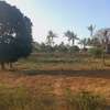Land at Mavueni Kaloleni Road thumb 4