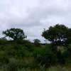 1500 acres along Athi-River for Long-term lease in kibwezi thumb 4