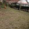 0.25 ac Land in Thika thumb 1