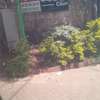 3 Bed House with Walk In Closet in Lavington thumb 4