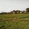 4,200 Acres of Land For Sale in Rumuruti, Laikipia thumb 0