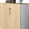 Office Cupboard: Brown 2-Door Wooden Office Cupboard thumb 1
