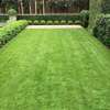 Artificial Grass Carpet Always Perfect for beauty thumb 2