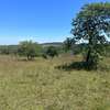 50 ac Land in Murang'a County thumb 8