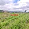 0.125 ac Residential Land at Migumoini thumb 11