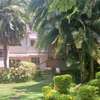 5 Bedroom Office Space for Rent in Lavington Nairobi Kenya thumb 3