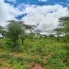 40 Acres Agricultural Land Is For Sale In Masinga Kithyoko thumb 2