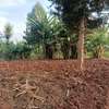 0.24 ac land for sale in Ruaka thumb 5