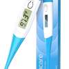 DIGITAL THERMOMETER IN NAIROBI thumb 0