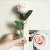 1/ 5/ 10 Pieces Artificial Silk Rose Flowers Long Branch thumb 6
