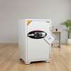Fireproof Safes : Diplomat Digital Fireproof Safe 90KGS thumb 3