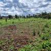 0.05 ha Residential Land in Thika Road thumb 7