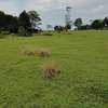 21 ac Land at Kiambu Road thumb 9