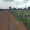 20 ac Land at Moi Ndabi / Maiela thumb 3