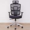 Office Chair: Breathable Mesh Lumbar Support, Work Smart thumb 0